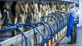 Höhere Milchpreise retten Bauern vor steigenden Energiekosten