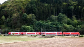 Neue Gleise sind wichtiger als Lurche