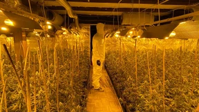 Whatsapp der organisierten Kriminalität