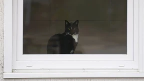 Landratsamt verhängt erstes Zwangsgeld