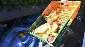 Überschwang hilft nicht gegen Verschwendung