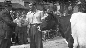 Ein viel zu junger Landrat