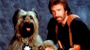 Die besten Chuck-Norris-Witze