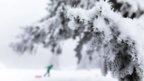 Vierjähriges Mädchen wird auf Schlitten eingeklemmt und stirbt