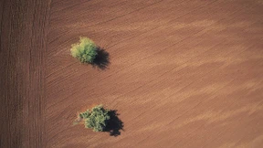 Hoffnungsvoll verirrt