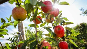 Sommer im Süden und Herbst im Norden