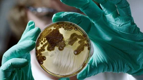 Resistent gegen alles