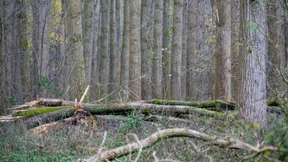 Naturschutz lässt sich auf Dauer nicht mit Stillstand erkaufen