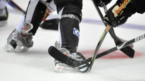 Ein bitteres Lehrjahr für die Löwen