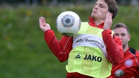 Schwegler und die Signale