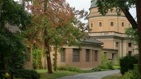 Sorge um die Zukunft des Waldes