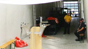 Hoffenheimer Hochfrequenz