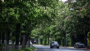 „Die Natur ist explodiert wie noch nie“