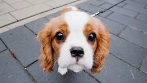 Jacks Flug nach Lampedusa fiel aus