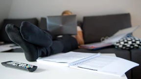 Heimarbeit mit Schweinehund 