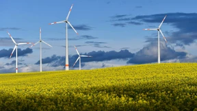 Wie grün ist Deutschland wirklich?