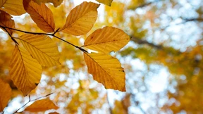 Herbstwetter zum Wochenbeginn