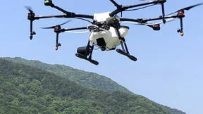 Wald liegt in der Luft