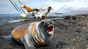 Tausche Berge gegen die Weiten der Meere