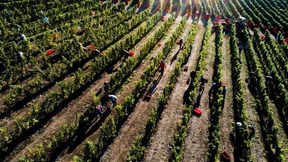 Gutes in einem Meer schlechter Nachrichten