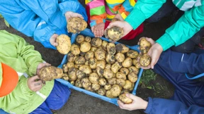Leben von der Landlust