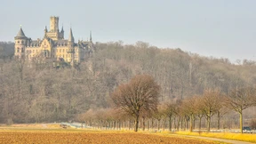 Traumschloss und Prinzenrolle vorerst gestoppt