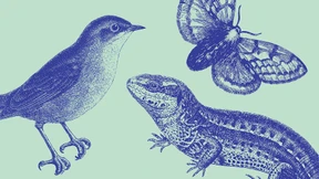 Zurück zum Stadtdschungel