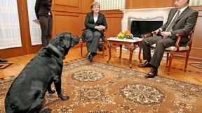 Merkel und der harte Hund