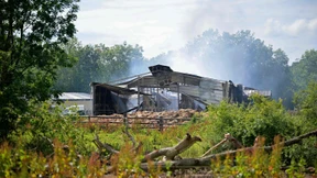 70 Pferde bei Feuer auf Gestüt in der Normandie verbrannt