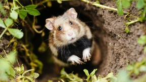 Fortschritt mit Umweltschutz ist möglich