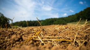 So warm wird es nächste Woche schon wieder