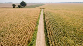 Keine Angst vor mehr Natur