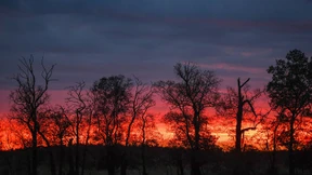 Der schönste Song im ganzen Internet
