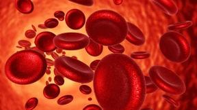 Leukämien: Fortschritte in der Stammzelltransplantation