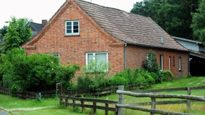 Tote Babys auf Dachboden entdeckt