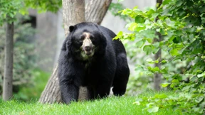 Frankfurter Zoo wieder geöffnet