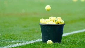 Werden vom DFB die Tennisbälle einzeln gezählt?