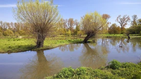 Warum der frühere Kohleausstieg auch Probleme bringt 