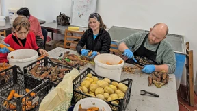 „Ich kann doch nicht nur zuschauen“