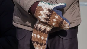 Die heimlichen Stars der Amtseinführung