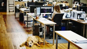 Kuschelfaktor im Büro