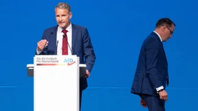 AfD ermöglicht künftig Einzelspitze