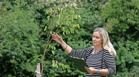 Daten aus dem Garten