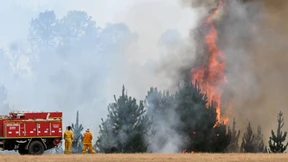 Waldbrände bei Melbourne außer Kontrolle