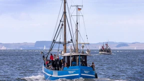 Deutsche Fischer bringen deutlich weniger Fisch an Land