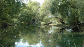 Wo seltene Vögel rasten und brüten