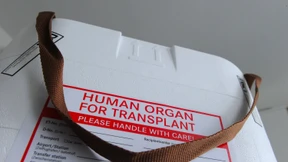 Weitere Manipulationen bei der Organvergabe