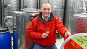 Ein Exot im Weinberg