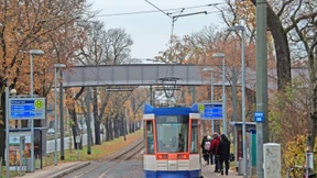 Eine Straßenbahn von Darmstadt bis ins Ried