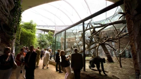 ÖPP-Projekt im Frankfurter Zoo nicht genehmigt